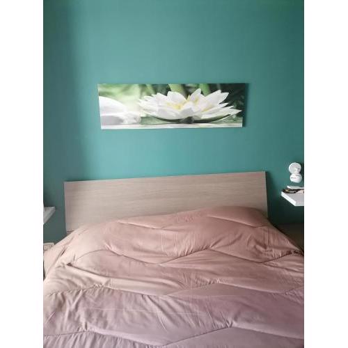 LULETTA HOME