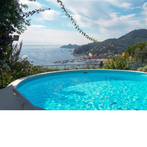 L'uliveto di Santa con piscina