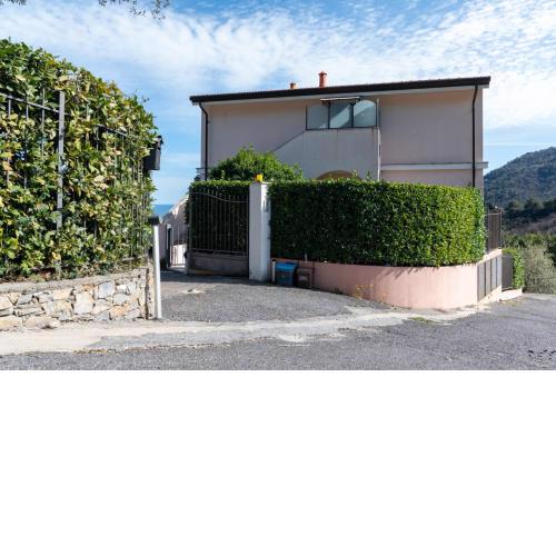 L'Ulivo di Cecilia
