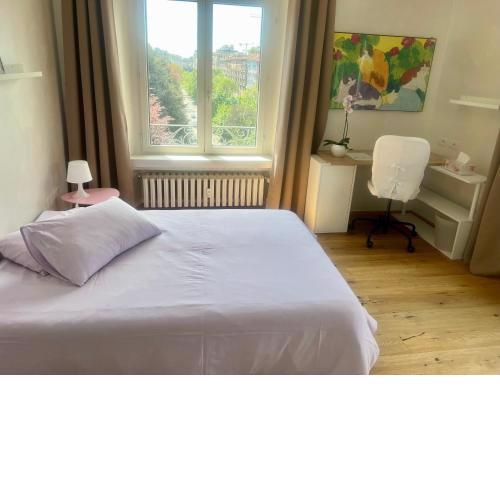 Luminosa stanza con bagno privato