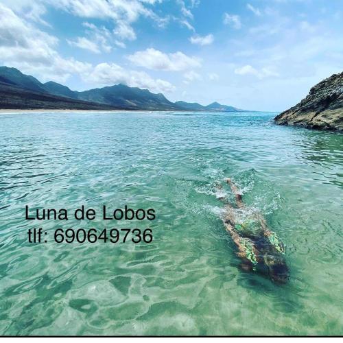 Luna de Lobos