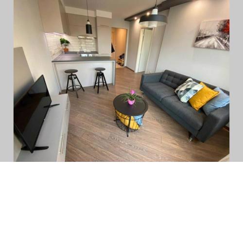 LUX 1BD/1BA City Center Apartment