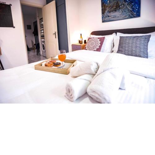Lux apartment downtown