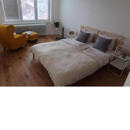 Luxurious apartment 3 min walk to city center - snack, beverages included in price