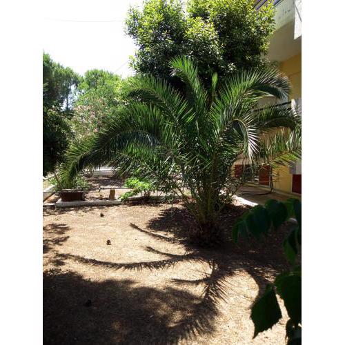 Luxurious Apartment Katakolo Beach