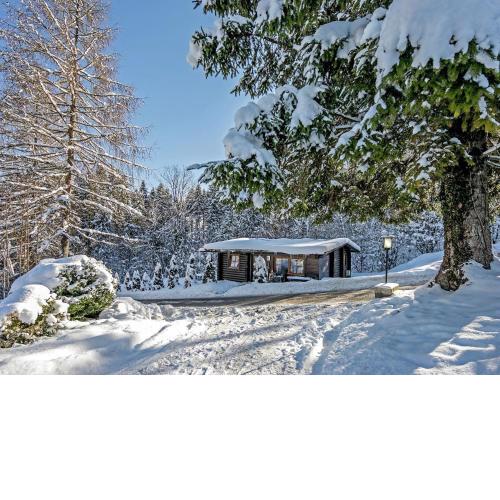 Luxurious Chalet in W rgl Boden near Ski Area