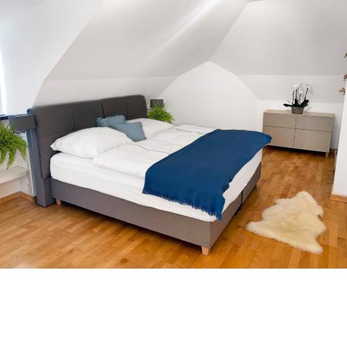 Luxurious Mozart Apartment