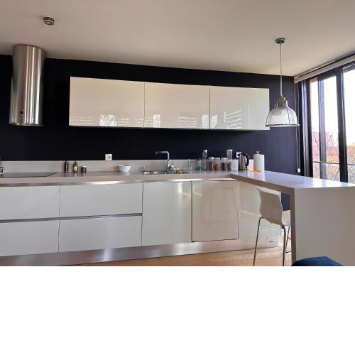 Luxury and Spacious 1 BR near Bosphorus