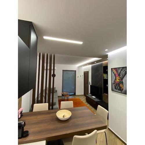 Luxury Apartment