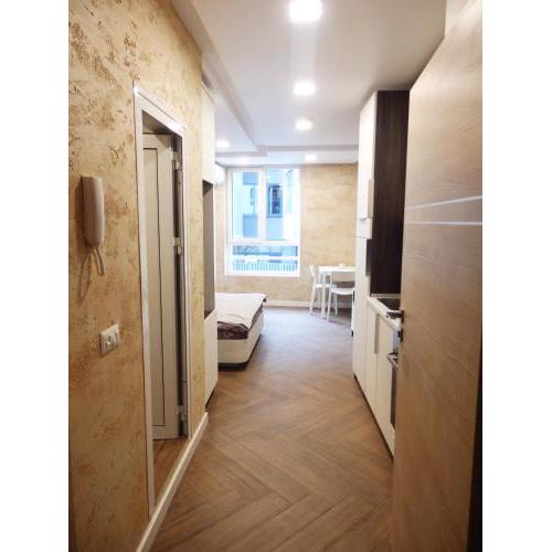 Luxury apartment