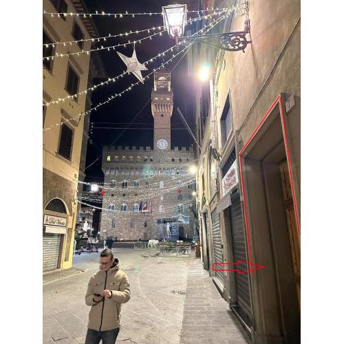 Luxury Art Apartment Piazza Signoria