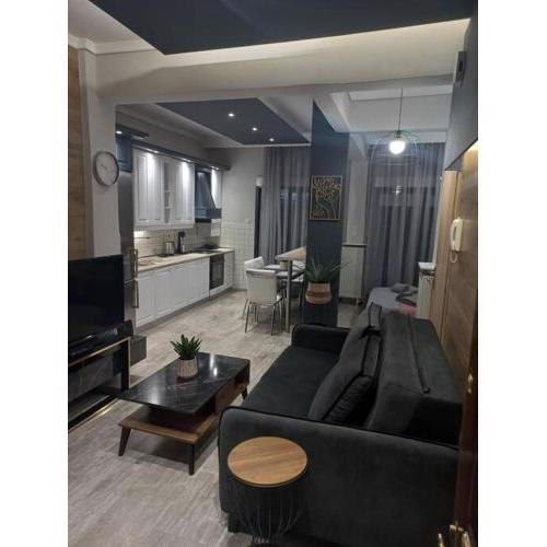 Luxury center apartment