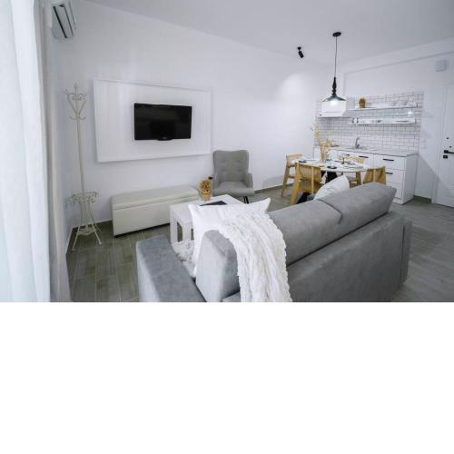Luxury Central Studio