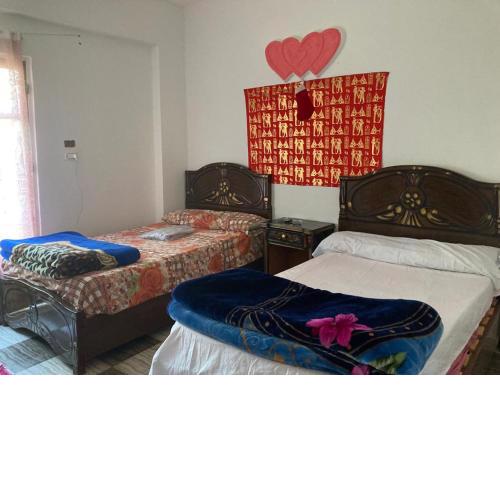 Luxury Guest Room
