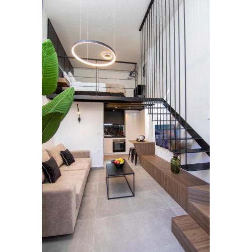 Luxury Loft in the center
