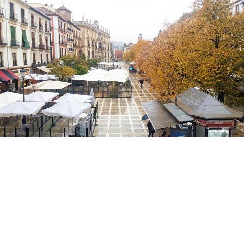 Luxury Suites Plaza Nueva