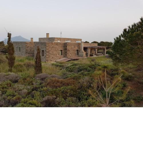Luxury Villa Jolly in Paros Isterni