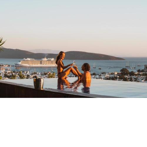 Luxury Villa with Pool Best View in Bodrum