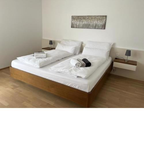 Luxusappartement mit Garage im Zentrum