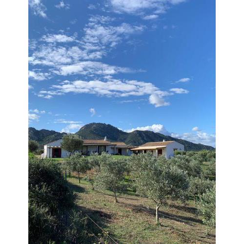 Macciuneddu Country Retreat