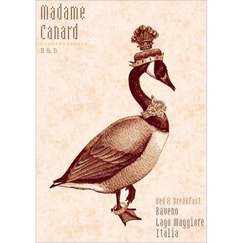 Madame Canard