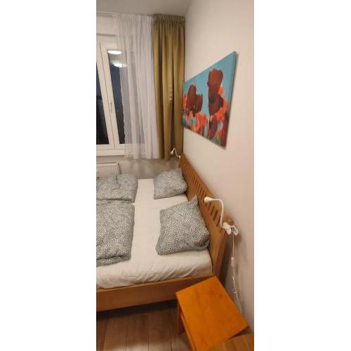 Magical 4 rooms apartment with free parking slot