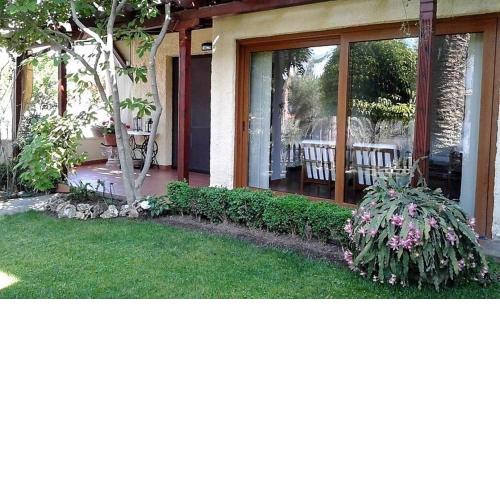 Magnolia Home