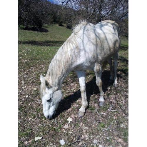 Magrignano tra animali e natura