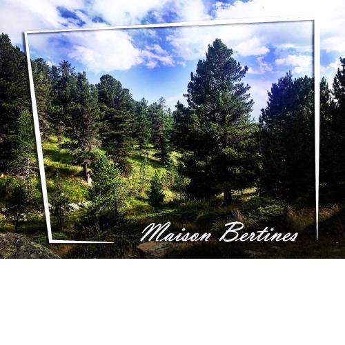 Maison Bertines I