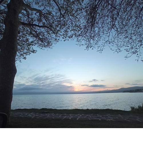 Maison du Lac Bolsena