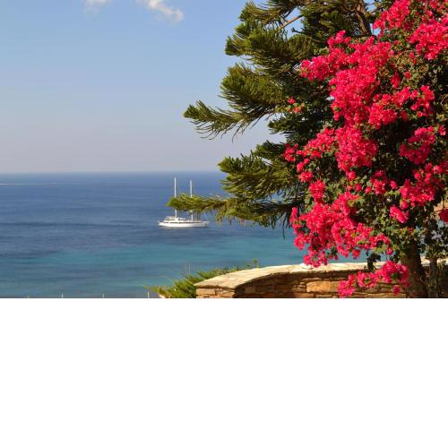 Maison Simone with private heated infinity pool & spectacular sea view