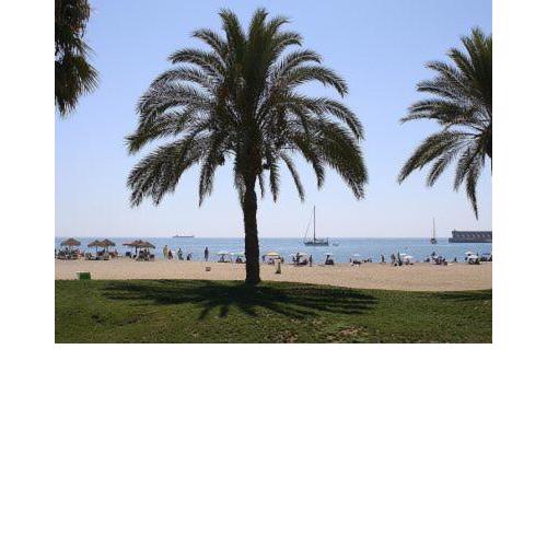 MÁLAGA Apartament HÉROES DE SOSTOA