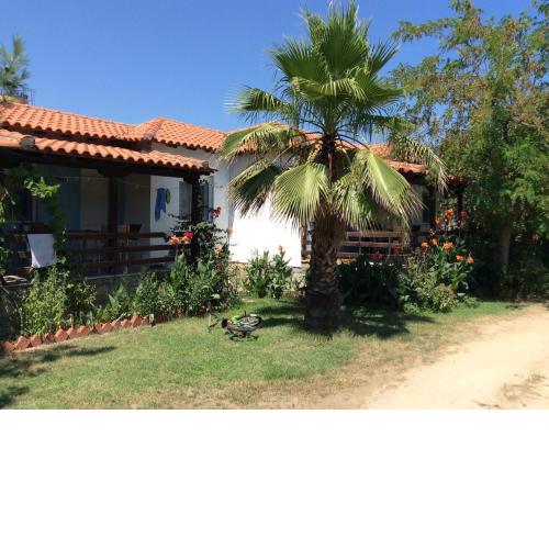 Malama Rooms