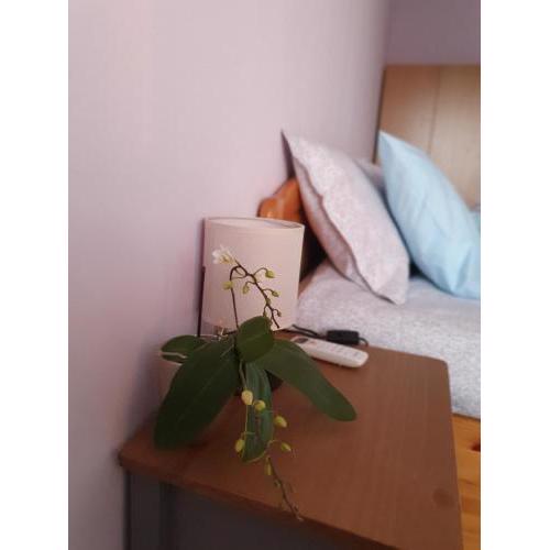 Malavi Square top center apartment! Comfort&clean!