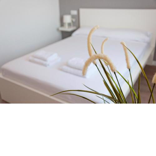 Mallorca Rooms Can Pastilla