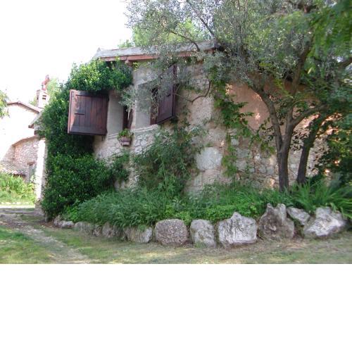 Malvarina