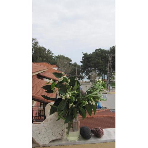 Mandola Studios - Beachside