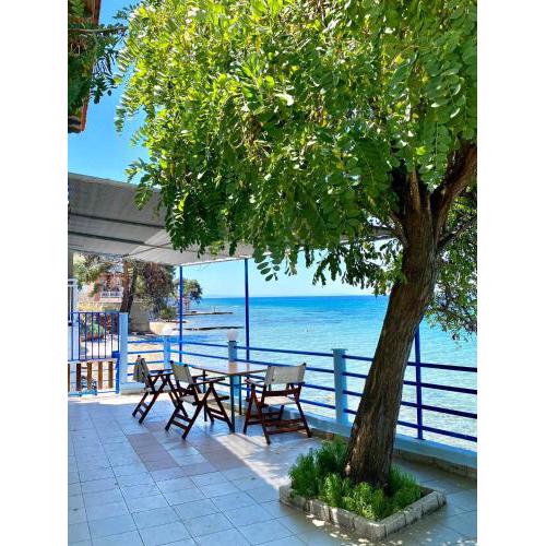 Manolis Studios Thassos