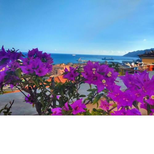 Mare in Vista