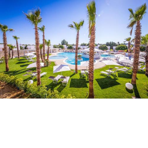 Marelive - CDSHotels