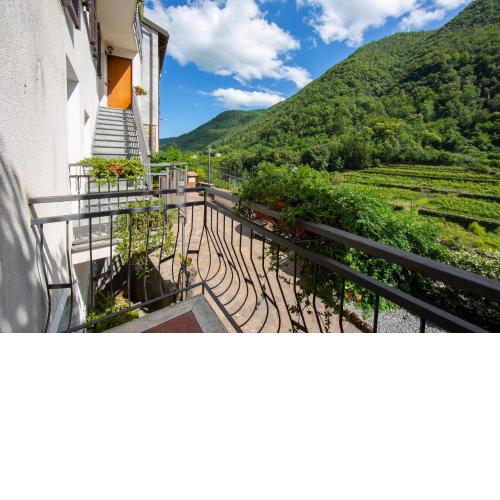 Margherita Among Vineyard - Happy Rentals