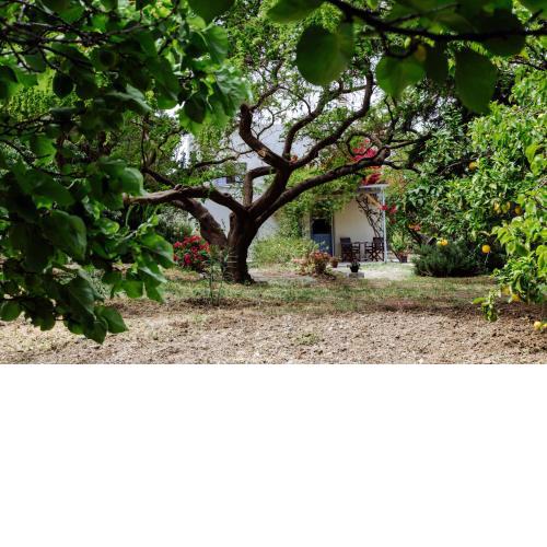Margouno Eco Cottage