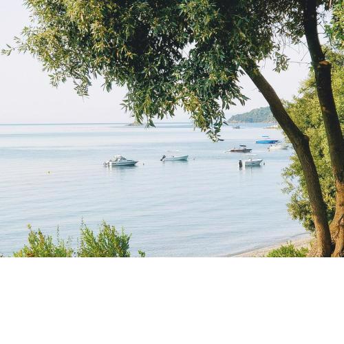 Maria Studios Skiathos