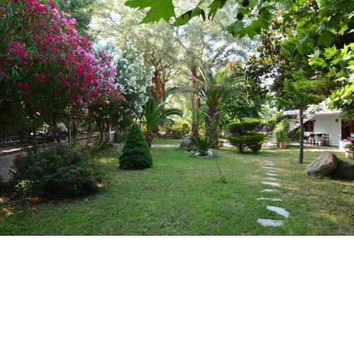 Marina's House II
