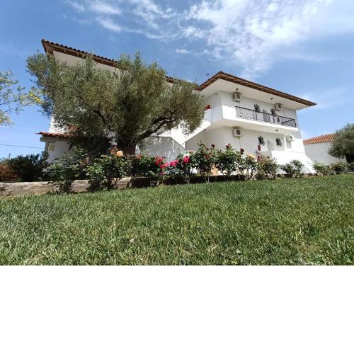 Marios Garden House