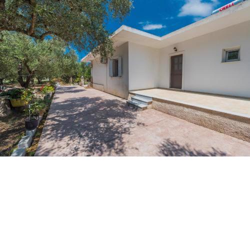 Mary's Olive Grove House
