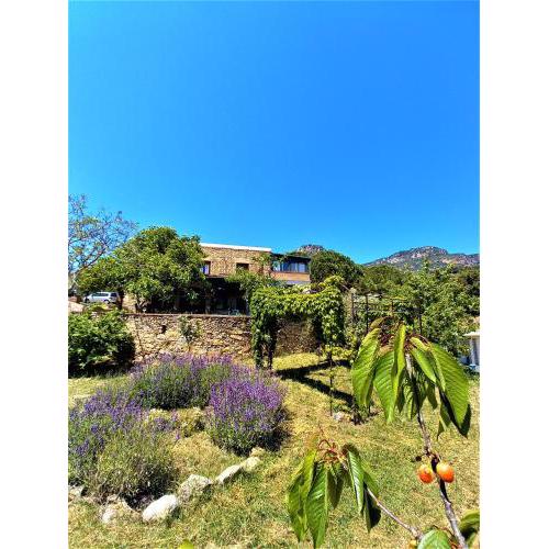 Mas Olivella Casa Principal