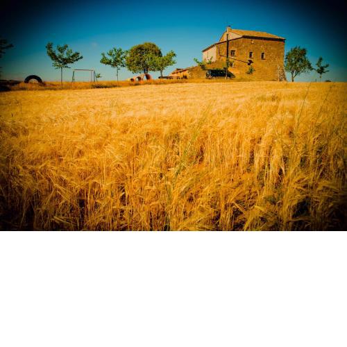 Masia Manonelles