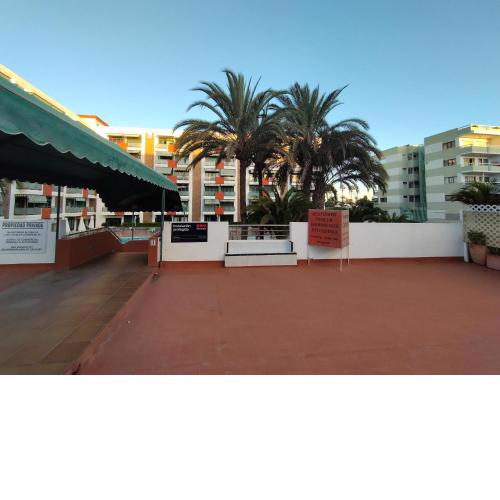 Maspalomas dunes