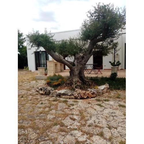 masseria chianca " Le Gravine"